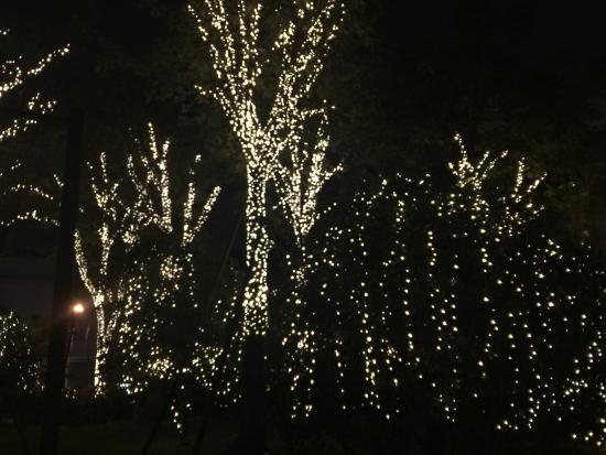 XiXi TianTang JingPin ShangYeJie